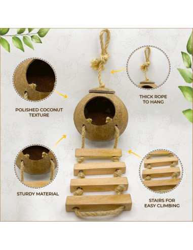 Cueva de Coco Favozio Grande para Cangrejo Ermitaño y Mascotas