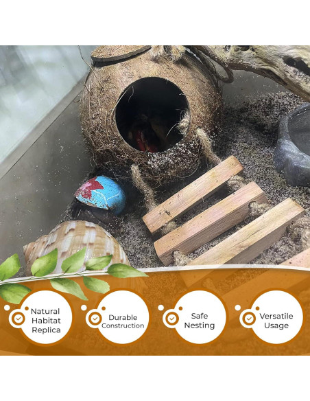 Cueva de Coco Favozio Grande para Cangrejo Ermitaño y Mascotas Cueva de Coco Favozio Grande para Cangrejo Ermitaño y Mascotas
