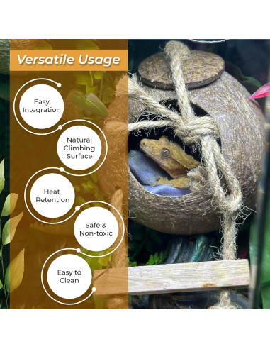 Cueva de Coco Favozio Grande para Cangrejo Ermitaño y Mascotas