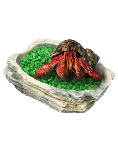 Tazón de Alimentación SunGrow para Cangrejo Ermitaño 9x7x2.5cm