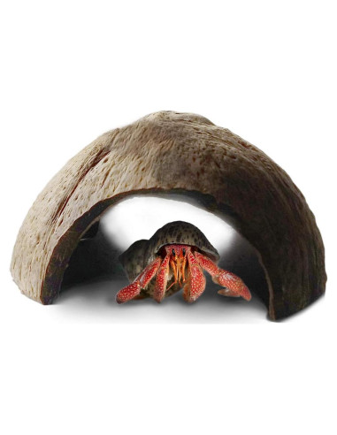 Refugio de Coco SunGrow para Cangrejos Ermitaños 12.7x7.6 cm