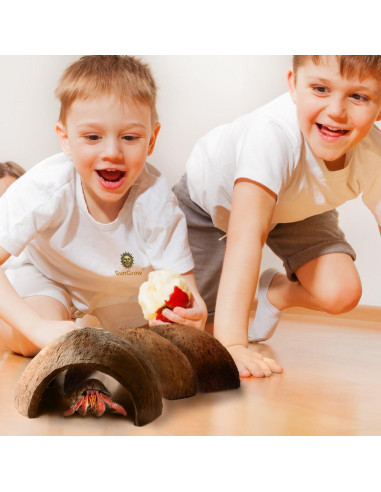 Refugio de Coco SunGrow para Cangrejos Ermitaños 12.7x7.6 cm