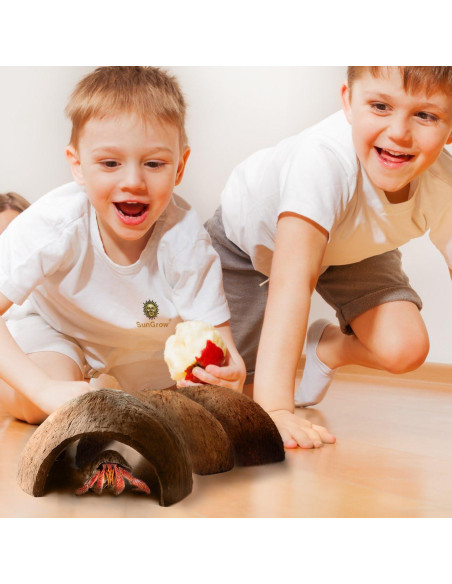 Refugio de Coco SunGrow para Cangrejos Ermitaños 12.7x7.6 cm Refugio de Coco SunGrow para Cangrejos Ermitaños 12.7x7.6 cm