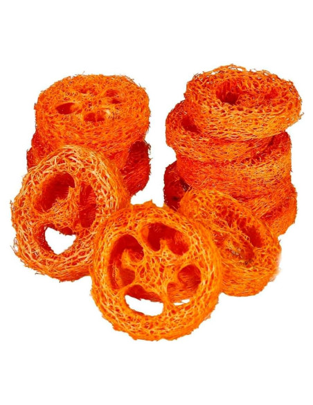 15 Rodajas de Lufa Natural para Masticar Mascotas YOMENO 15 Rodajas de Lufa Natural para Masticar Mascotas YOMENO