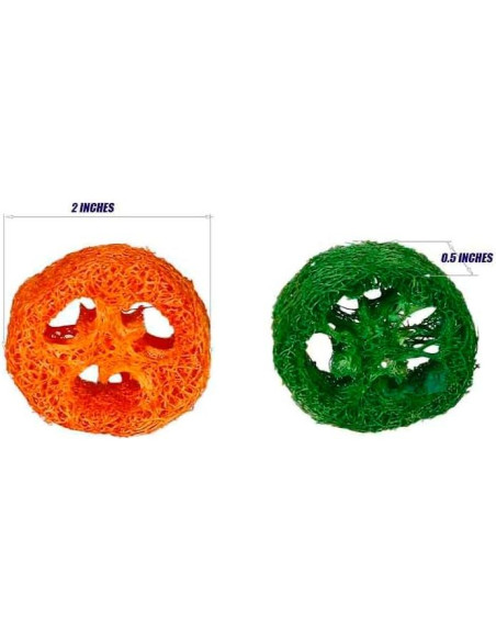 15 Rodajas de Lufa Natural para Masticar Mascotas YOMENO 15 Rodajas de Lufa Natural para Masticar Mascotas YOMENO
