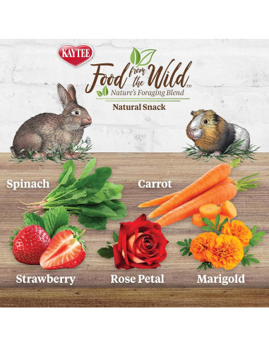 Snack Natural Kaytee para Conejos y Cobayas 28g - Sin Azúcares