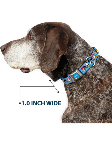 Collar para Perros Disney Buckle-Down 15-24" (38-61 cm) 2.54 cm Collar para Perros Disney Buckle-Down 15-24" (38-61 cm) 2.54 cm