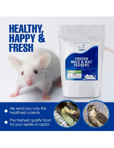 Ratas Congeladas MiceDirect 8 Unidades 15-23 cm para Serpientes 2