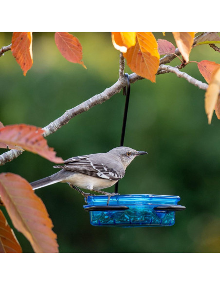 Alimentador de Aves Colgante More Birds Azul 283g Alimentador de Aves Colgante More Birds Azul 283g