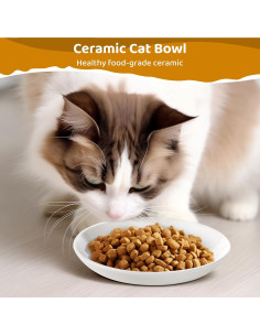 Plato de Cerámica para Gatos Peppapet 15cm - Antifatiga Bigotes 2
