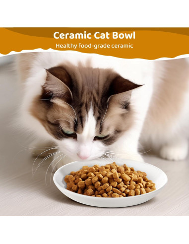 Plato de Cerámica para Gatos Peppapet 15cm - Antifatiga Bigotes