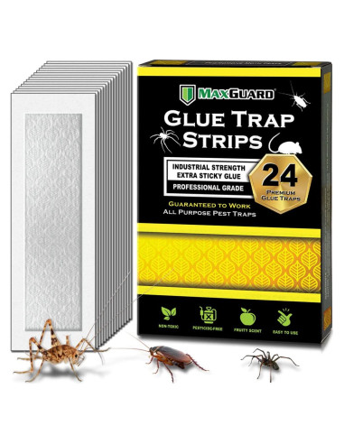 Tiras de Trampa de Pegamento MaxGuard 24 Unidades No Tóxicas