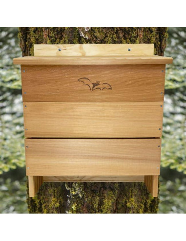 Casa para Murciélagos OBC 5 Cámaras Songbird Essentials
