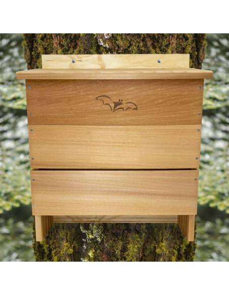Casa para Murciélagos OBC 5 Cámaras Songbird Essentials Casa para Murciélagos OBC 5 Cámaras Songbird Essentials