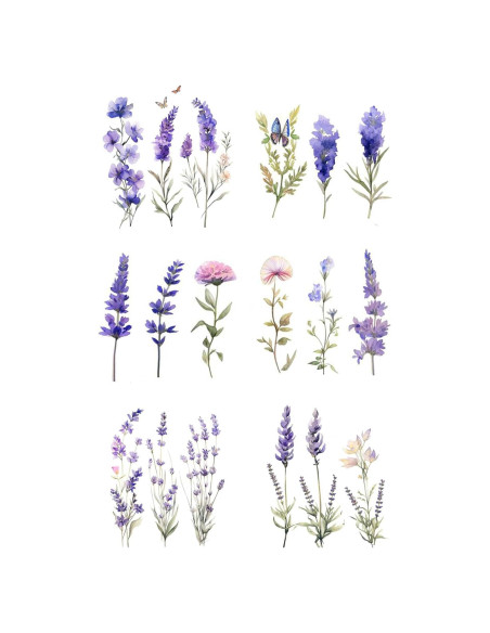 Tatuajes Temporales Flores de Lavanda Dopetattoo 6 Pcs Tatuajes Temporales Flores de Lavanda Dopetattoo 6 Pcs