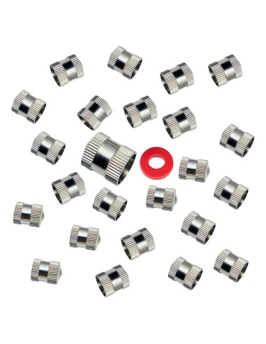 Tapones de Válvula de Neumático AUKISS VC-Plateado - 25 Piezas