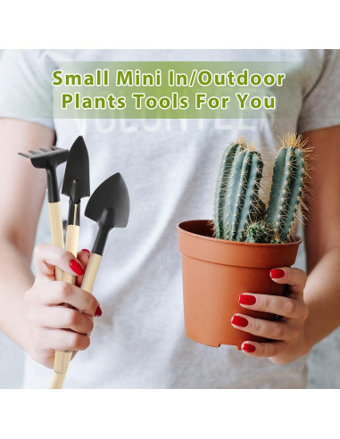 Kit de Jardinería Miniatura 6 Pcs Sibba - Herramientas de Interior
