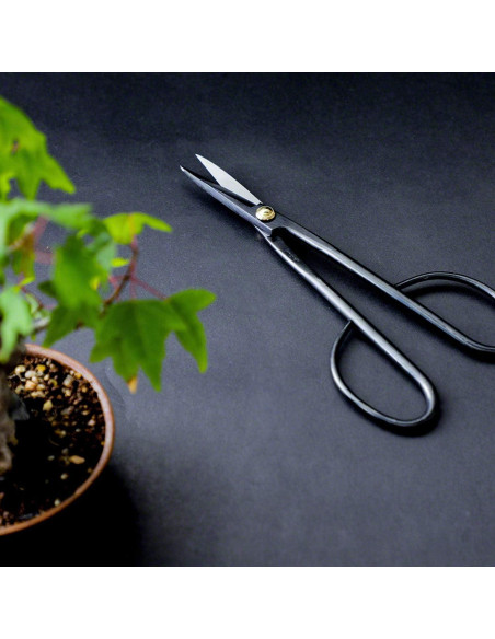 Kit de Tijeras de Bonsai Wazakura + Borrador de Resina Japonés Kit de Tijeras de Bonsai Wazakura + Borrador de Resina Japonés