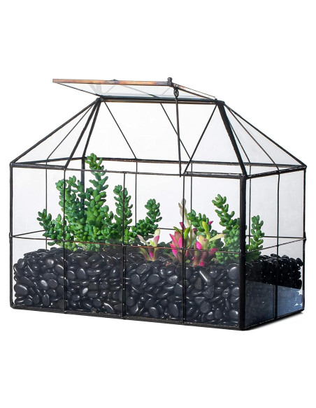 Terrario Geométrico de Vidrio NCYP con Tapa Oscilante 25x13.5x20cm Terrario Geométrico de Vidrio NCYP con Tapa Oscilante 25x13.5x20cm