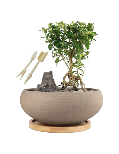 Maceta de Bonsai MUZHI Cerámica 20 cm Redonda sin Esmalte