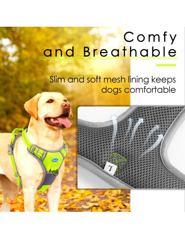 Arnés Deportivo ThinkPet Grande Sin Tirones Verde Acolchado