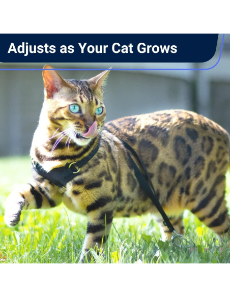 Arnés para Gato Mediano Houdini OutdoorBengal Negro Arnés para Gato Mediano Houdini OutdoorBengal Negro