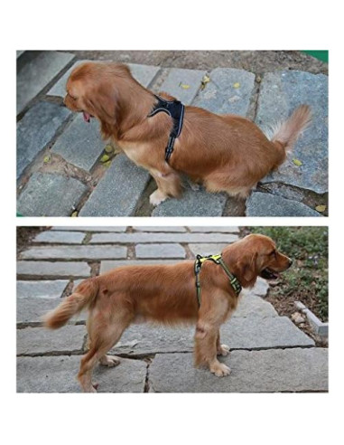 Arnés para Perros JUXZH Truelove L Púrpura Reflectante