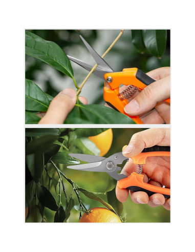 Kit de Tijeras de Jardín GROWNEER 3 Piezas Acero Inoxidable