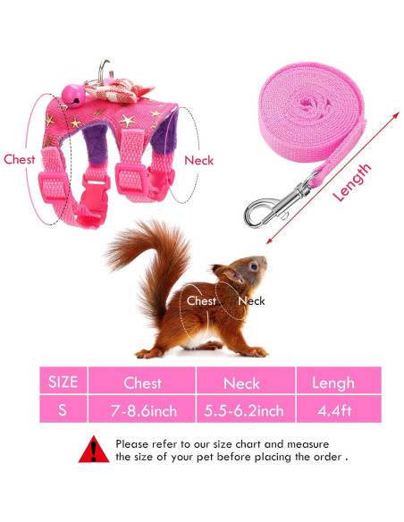 Arnés y Correa para Mascotas Pequeñas SATINIOR S Negro/Rosa Arnés y Correa para Mascotas Pequeñas SATINIOR S Negro/Rosa