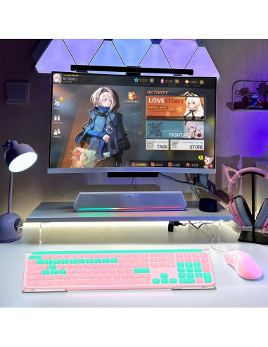 Soporte de Teclado Ergonómico WINFFOR Acrílico 43 cm Transparente