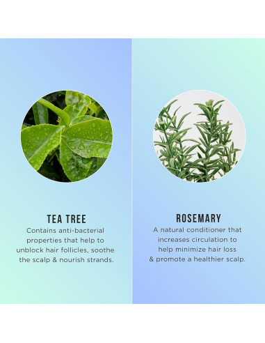 Exfoliante para Cuero Cabelludo Hask 170g - Aceite de Árbol de Té y Romero