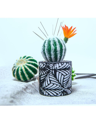Pincushion de Cactus July-Tech con Jarrón Cerámica 17.8x7.6cm