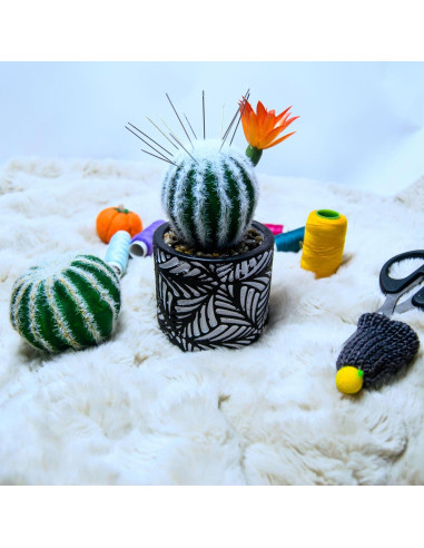 Pincushion de Cactus July-Tech con Jarrón Cerámica 17.8x7.6cm
