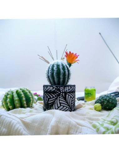 Pincushion de Cactus July-Tech con Jarrón Cerámica 17.8x7.6cm