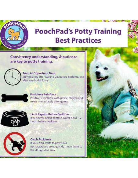 Spray Atractivo para Entrenamiento de Perros Pooch Pad 473 ml Spray Atractivo para Entrenamiento de Perros Pooch Pad 473 ml