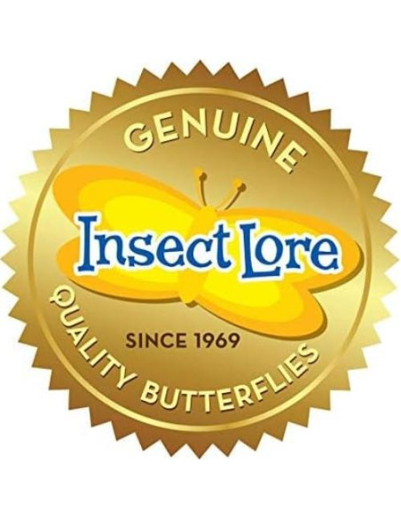 Jardín de Mariposas Insect Lore | 5 Orugas Bebé Vivas | Kit STEM Jardín de Mariposas Insect Lore | 5 Orugas Bebé Vivas | Kit STEM