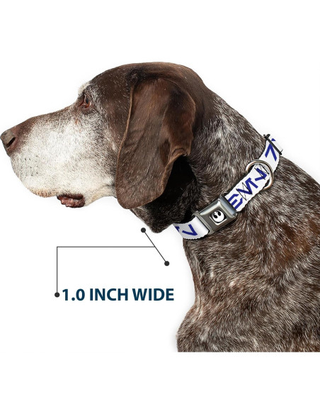 Collar para Perros Star Wars Buckle-Down 24.1-33 cm Azul Collar para Perros Star Wars Buckle-Down 24.1-33 cm Azul