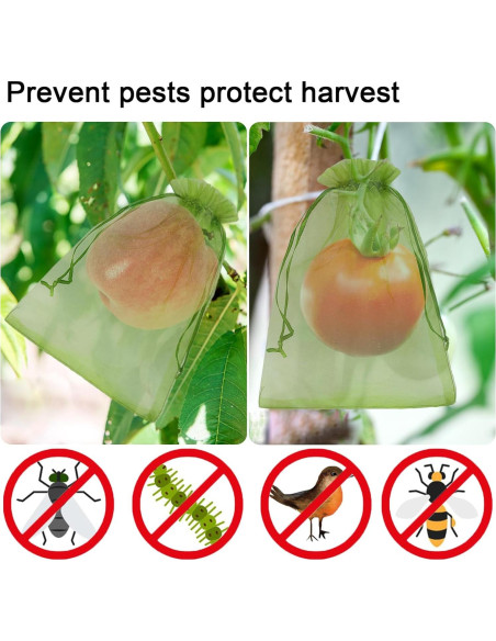 100 Bolsas de Protección de Frutas Uigidori 20x30 cm Verde 100 Bolsas de Protección de Frutas Uigidori 20x30 cm Verde