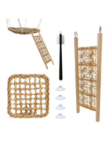 Juego de Juguetes para Cangrejos Ermitaños FEXICHUJI - Hamaca y Escalera