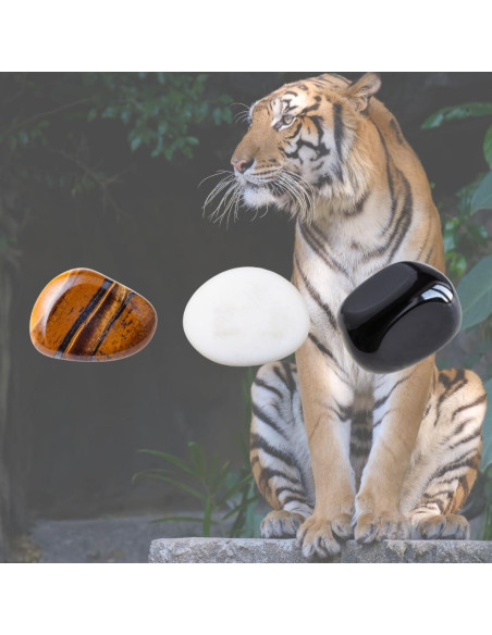 Juego de Horquillas de Cristal IMEL Studio Tiger Nudes Juego de Horquillas de Cristal IMEL Studio Tiger Nudes