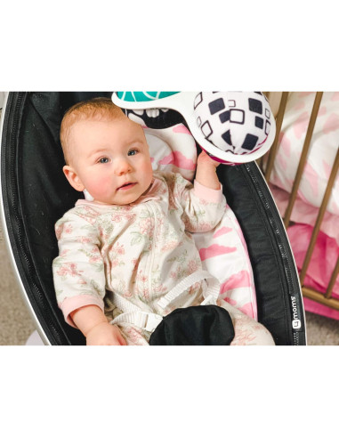 Inserto para Bebés BaeBae Goods Mamaroo Rockaroo 2 Piezas