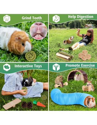 Set de Juguetes para Hámster Kyouki - 24 Accesorios Enriquecedores