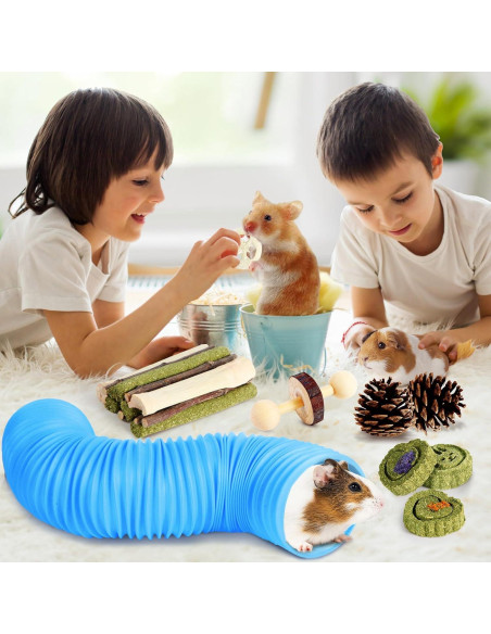 Set de Juguetes para Hámster Kyouki - 24 Accesorios Enriquecedores