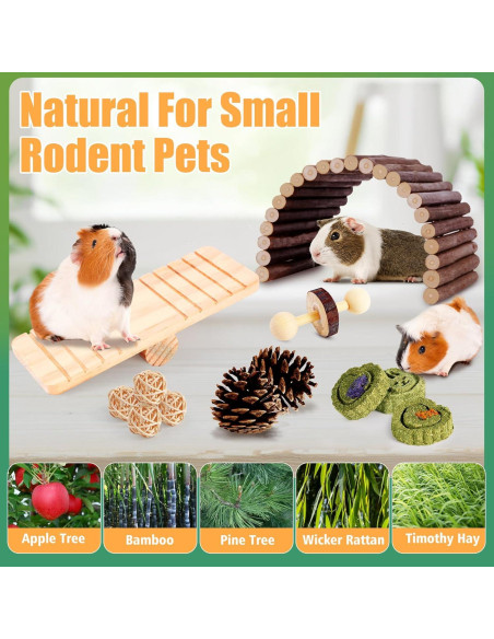 Set de Juguetes para Hámster Kyouki - 24 Accesorios Enriquecedores