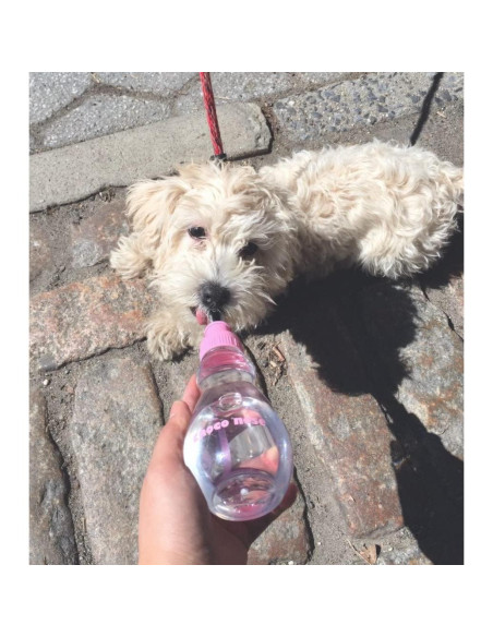 Comedero de Agua Portátil Choco Nose H258 Rosa 0.24L Comedero de Agua Portátil Choco Nose H258 Rosa 0.24L