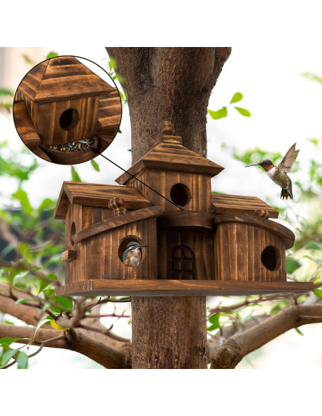 Casa para Aves COLEBA de 5 Habitaciones de Madera Natural Casa para Aves COLEBA de 5 Habitaciones de Madera Natural