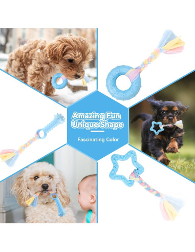 Paquete de 6 Juguetes Masticables para Cachorros PETCARE - Azul