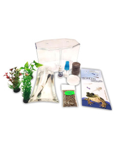 Kit de Renacuajos a Rana Nature Gift Store - Incluye 2 Renacuajos Vivos