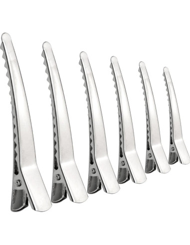 Paquete de 50 Clips de Cabello Marrywindix 6 cm Metal Plateado