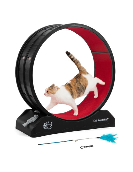 Rueda de Ejercicio para Gatos COZIWOW Negra 70 cm Rueda de Ejercicio para Gatos COZIWOW Negra 70 cm